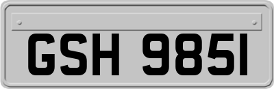 GSH9851