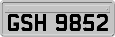 GSH9852