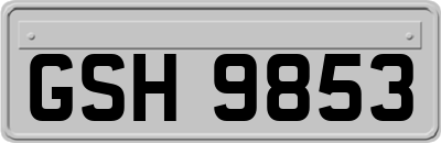 GSH9853