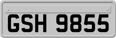 GSH9855