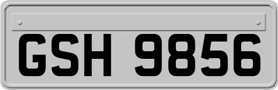 GSH9856