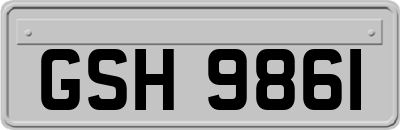 GSH9861