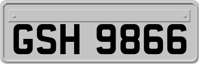 GSH9866
