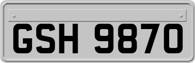 GSH9870