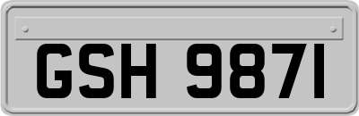 GSH9871