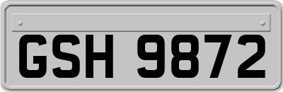 GSH9872