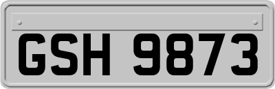 GSH9873