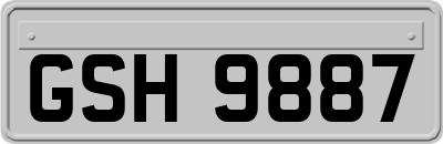 GSH9887