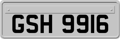 GSH9916
