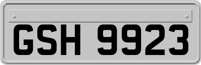 GSH9923