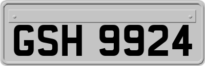 GSH9924