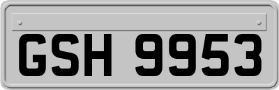 GSH9953