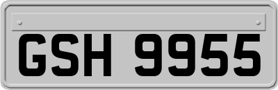 GSH9955