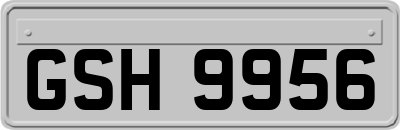 GSH9956