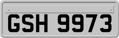 GSH9973