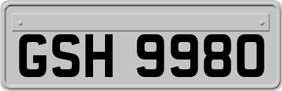 GSH9980