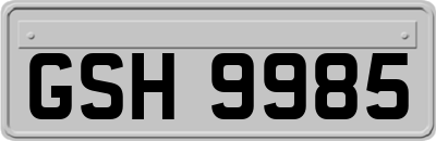 GSH9985