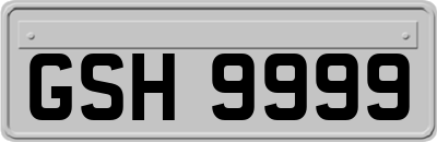GSH9999