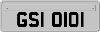 GSI0101