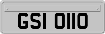 GSI0110