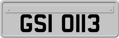 GSI0113