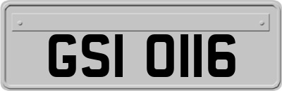 GSI0116
