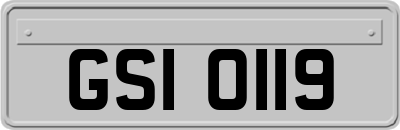GSI0119