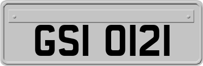 GSI0121