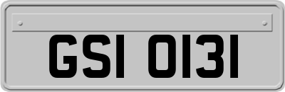 GSI0131