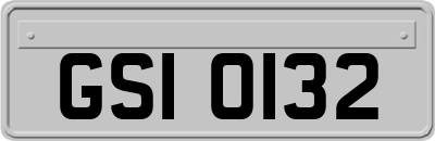 GSI0132