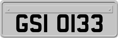GSI0133