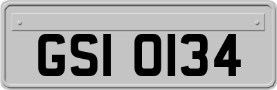 GSI0134