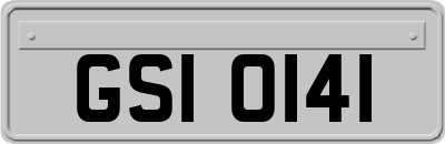 GSI0141