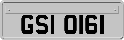 GSI0161