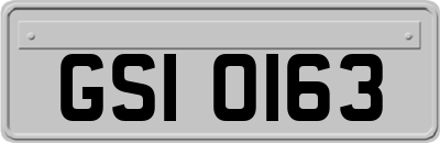 GSI0163