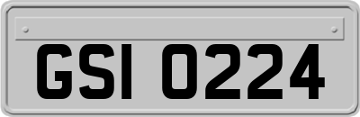GSI0224
