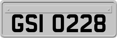 GSI0228