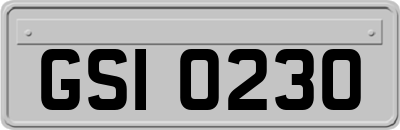 GSI0230