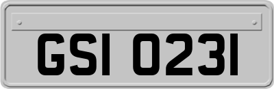 GSI0231