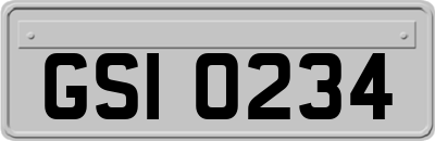 GSI0234