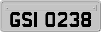 GSI0238
