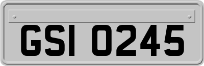 GSI0245