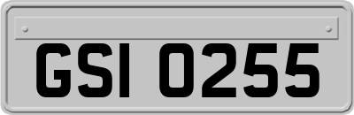 GSI0255