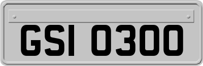GSI0300