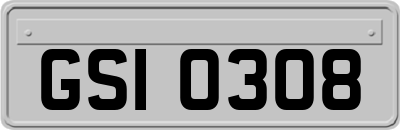 GSI0308