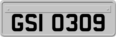 GSI0309