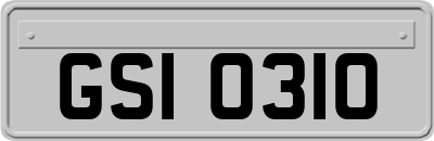 GSI0310