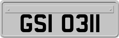 GSI0311