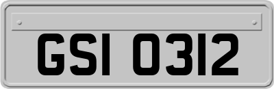 GSI0312