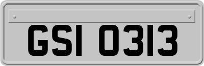 GSI0313